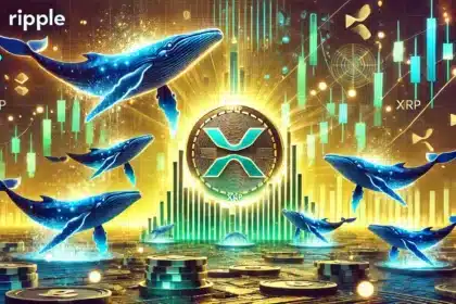 XRP-Wale erreichen mit 2802 großen Transaktionen den höchsten Stand seit drei Monaten