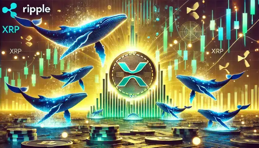 XRP-Wale erreichen mit 2802 großen Transaktionen den höchsten Stand seit drei Monaten 7 XRP-Wale erreichen mit 2802 großen Transaktionen den höchsten Stand seit drei Monaten