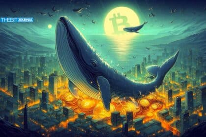 Bitcoin-Akkumulation steigt stark an, während Wale die Marktkorrektur kaufen