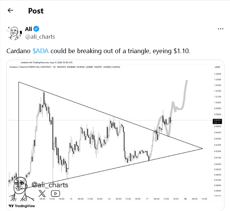 Is This the Breakout? Cardano Eyes $1.10 After Weeks of Quiet Trading 9 Cardano price