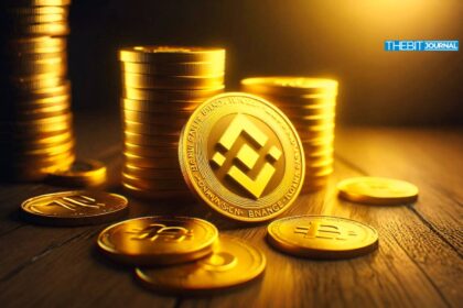 BNB kämpft um die 1.000-Dollar-Marke: Werden die Bullen die Linie halten oder aufgeben?