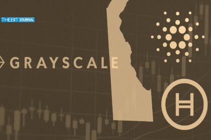 Cardano ETF, Hedera ETF on Deck: How Grayscale Turns Up the Heat