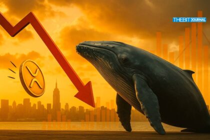 XRP Crashes Under $3: Are More Losses Ahead?