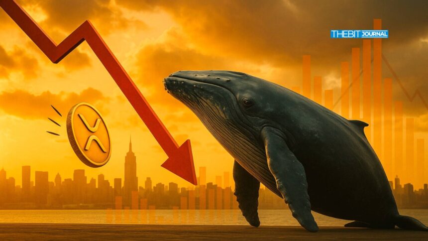 XRP Crashes Under $3: Are More Losses Ahead? 7 XRP Crashes Under $3: Are More Losses Ahead?