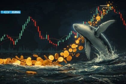 Aktivitäten von Krypto-Walen: Große Transfers und Auswirkungen auf den Markt