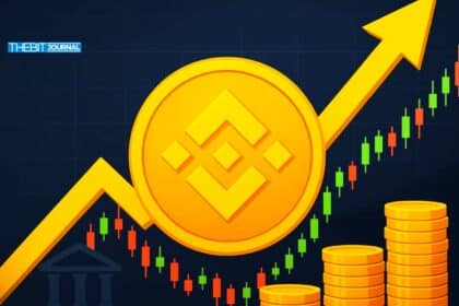 Binance Coin Climbs to All Time High with Whales Buying More