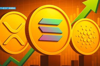 crypto market update