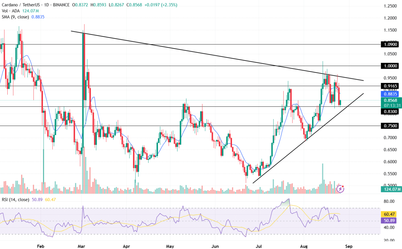 Cardano Price Consolidates as Symmetrical Triangle Signals Breakout