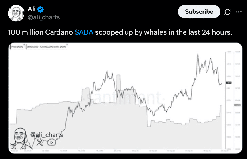 Cardano Whales Accumulate 320M ADA in August: Is a $1.50 Breakout Next? 8 Cardano Whale Accumulation