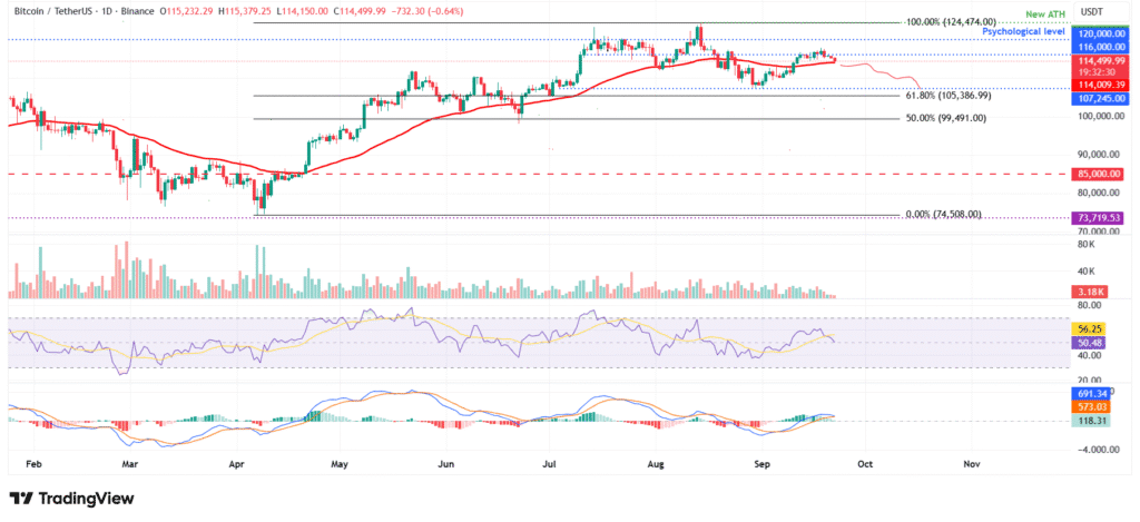 Bitcoin price drop