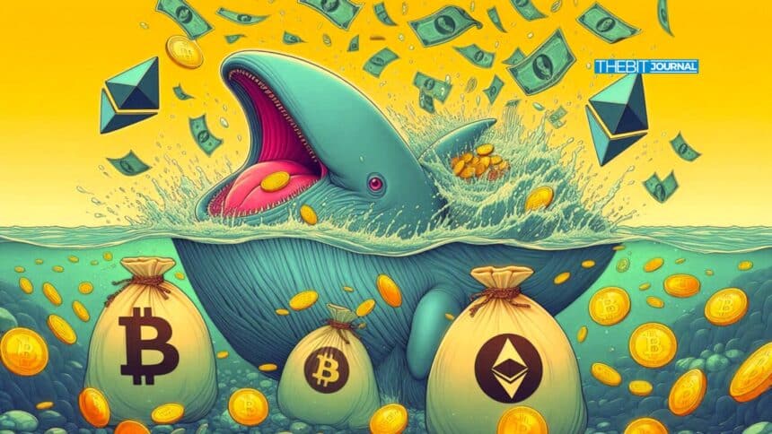 Top Crypto Whale Watch: Billions Shifted Into ETH, SOL, SHIB, and PEPE 7 Top Crypto Whale Watch: Billions Shifted Into ETH, SOL, SHIB, and PEPE