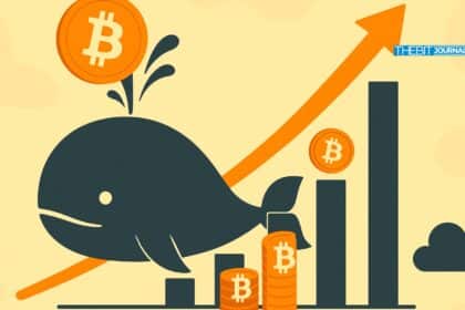 Record Bitcoin Whale Wallets Growth: Is BTC’s Next Rally Around the Corner?