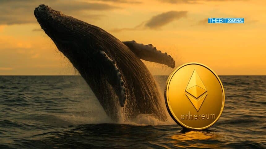 Der Ausverkauf durch Ethereum-Großinvestoren verschärft sich, da ETH im Wert von 423 Millionen Dollar an die Börsen gelangt