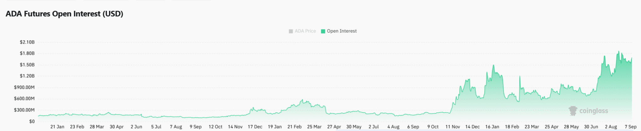 Open Interest Growth Highlights Market Sentiment 