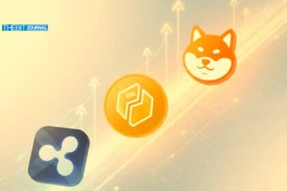 SHIB price today