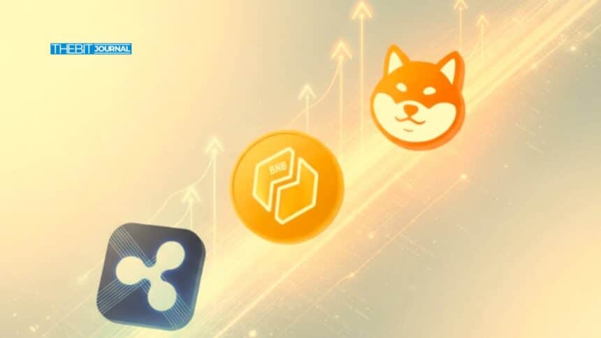 Crypto Price Prediction Today: XRP, BNB, and Shiba Inu in Focus 7 SHIB price today