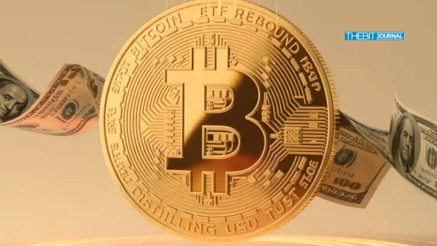 Is Bitcoin ETFs Rebound a Sign of Distrust in USD or Growing Demand for BTC?