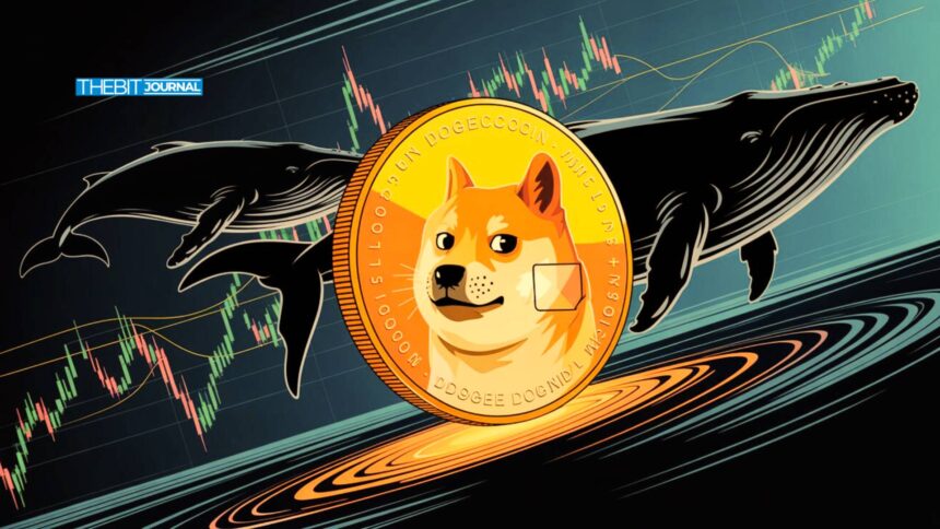 Dogecoin Price Outlook: Whale Movement and Exchange Selling Pressure Market