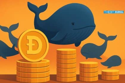 Dogecoin Whales Accumulate 15 Million DOGE as Retail Traders Exit the Market