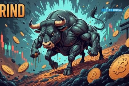 Crypto’s Worst Bull Run? Why 2025’s Rally Feels More Like a Grind