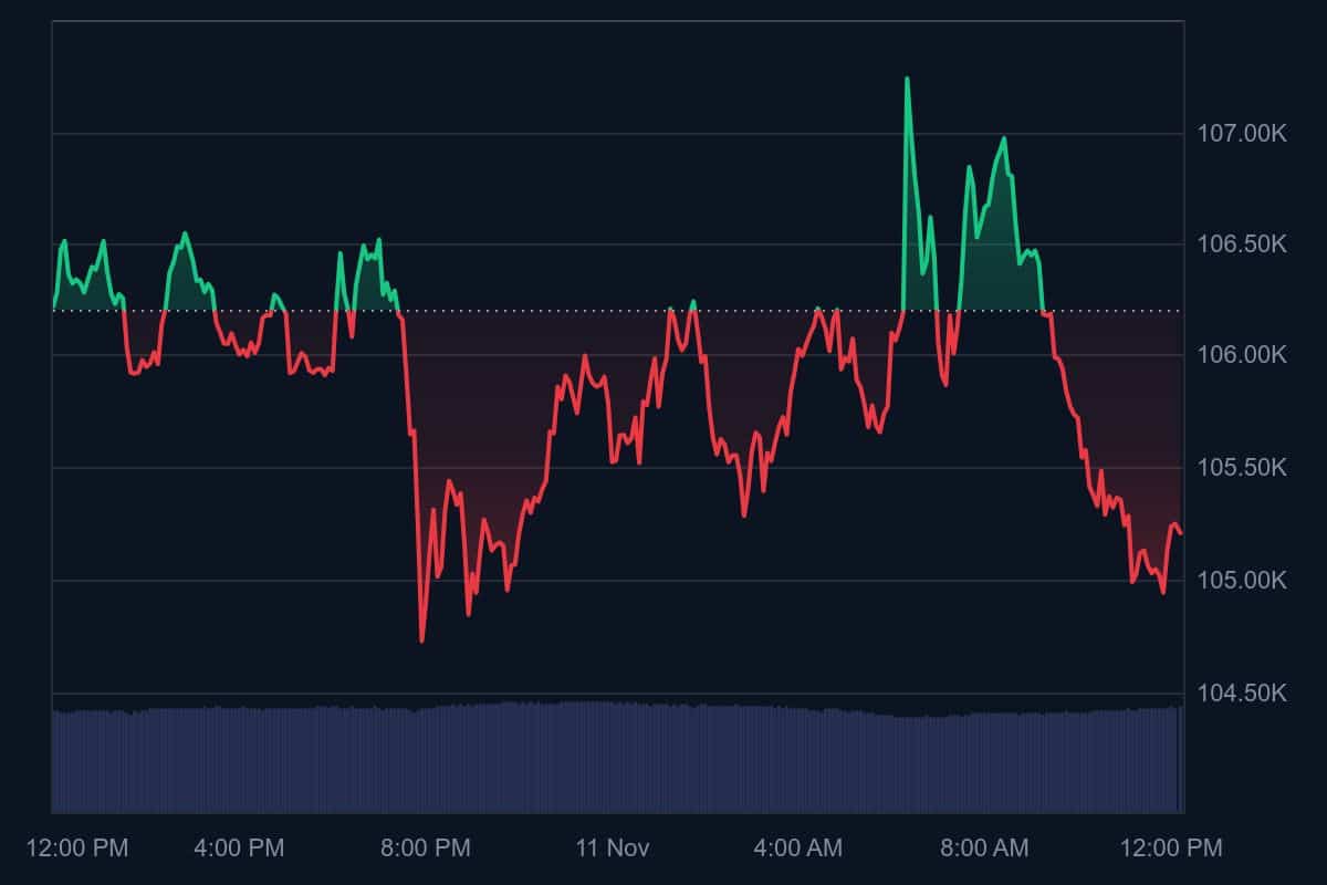 Bitcoin Whale Accumulation