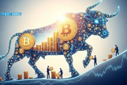How Bitcoin Bulls Make Money When Everyone Else Is Panicking