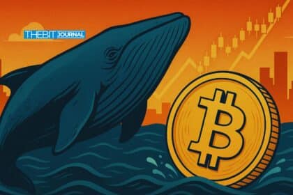 BTC whale activity