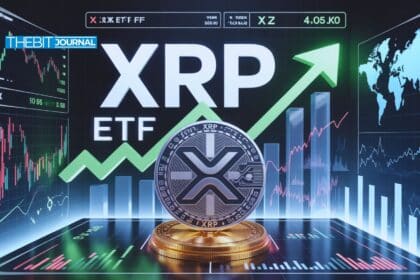 XRP Market Update