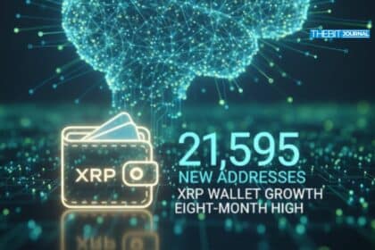 XRP Wallet Growth Hits Eight-Month High as 21,595 New Addresses Join the Network