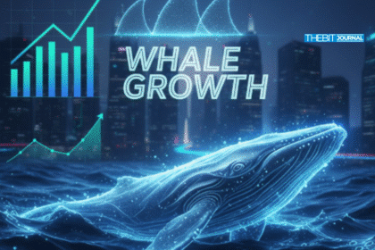 Litecoin LTC price setup strengthens with whale growth and liquidity uptick