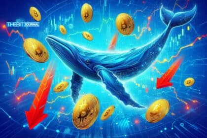 Bitcoin-Wal-Abflüsse erreichen 110 Mio. $– Warum steckt BTC also immer noch unter 71.000$ fest?