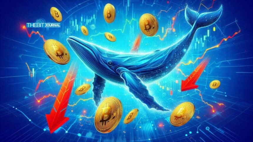 Bitcoin Whale $230M Activity Raises Caution as ETFs See Outflows 7 Bitcoin-Wal-Abflüsse erreichen 110 Mio. $– Warum steckt BTC also immer noch unter 71.000$ fest?
