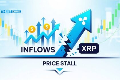 Record XRP ETF Inflows Fail to Move Price Analysts Explain Why