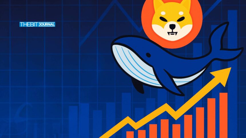 Shiba Inu Whale Activity Hits Multi-Month High as SHIB Tests Major Breakout Level 7 Shiba Inu Whale Activity Hits Multi-Month High as SHIB Tests Major Breakout Level