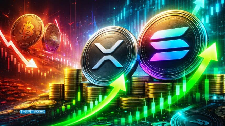 XRP and SOL ETF Inflows Rise as BTC and ETH See Year-End Outflows 7 XRP and SOL ETF Inflows