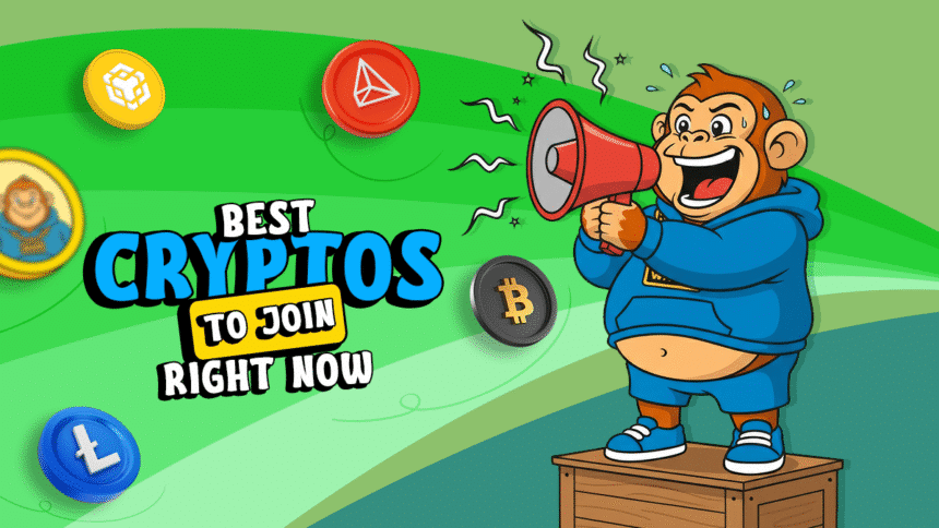 Marktchaos schafft Chancen: 6 Top-Altcoin-Empfehlungen, die in diesem Quartal für massive Bewegungen bereit sind = The Bit Journal