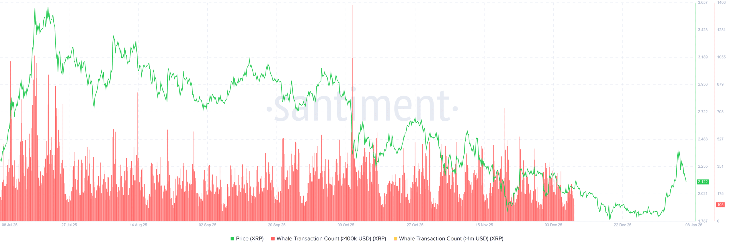 XRP Whale Activity