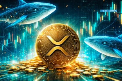XRP Whale Transfers Spike to 3-Month Peak Amid Market Uncertainty
