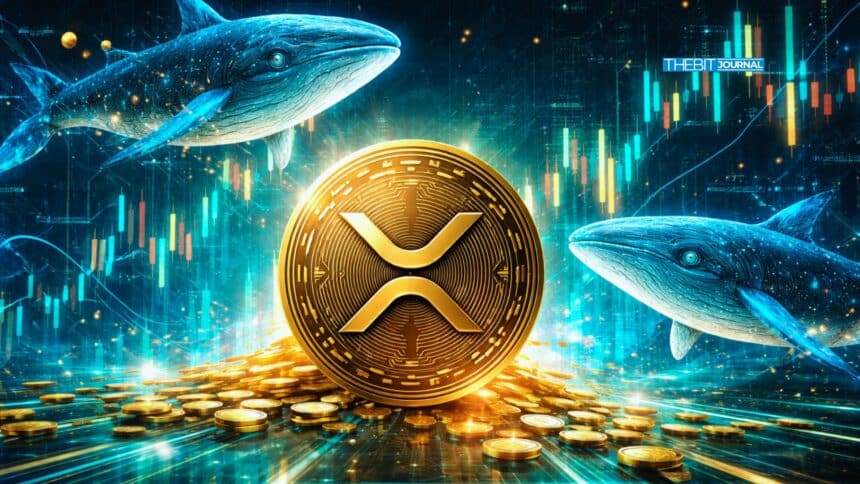 XRP Whale Transfers Spike to 3-Month Peak Amid Market Uncertainty