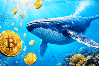 Bitcoin-Wal-Akkumulation erreicht 3-Monats-Hoch, da Großinvestoren 35,82% des Gesamtangebots kontrollieren