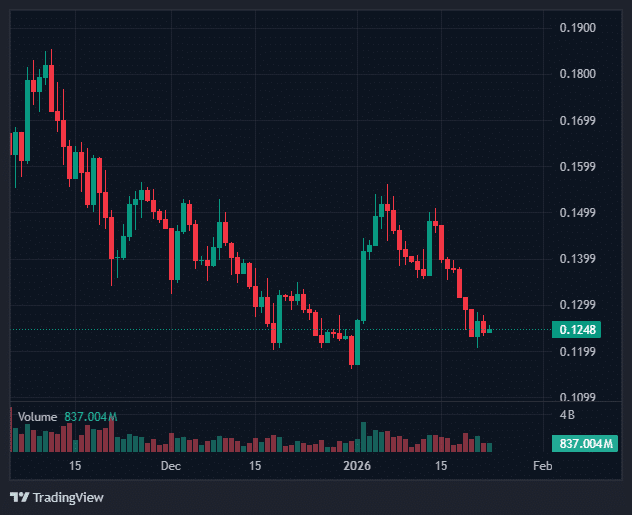 Dogecoin Price Down 2% Amid Rising Liquidations in Meme Coins 1 Dogecoin Price