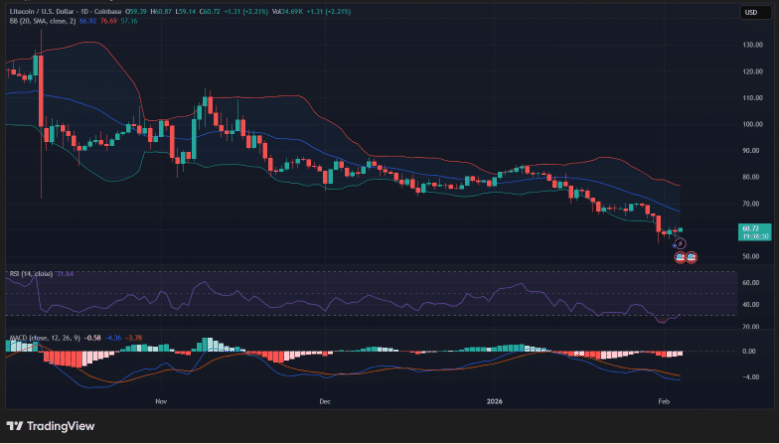 Litecoin Price Drops 12% as Network Usage and Adoption Rise