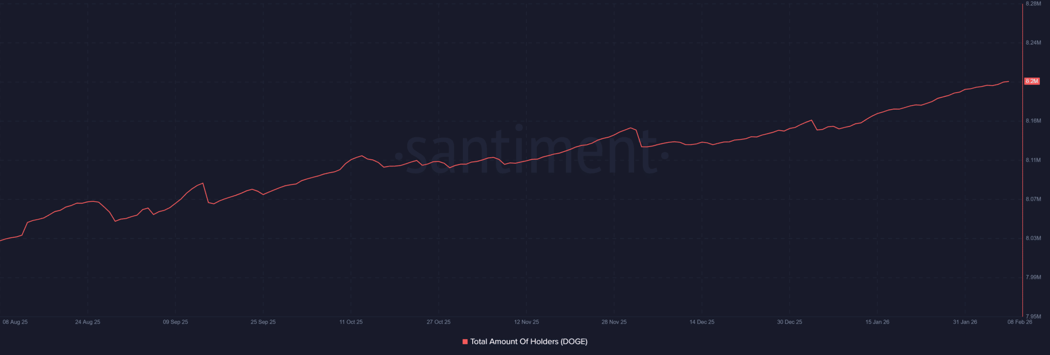 Rising Holder Base Supports Price Stability