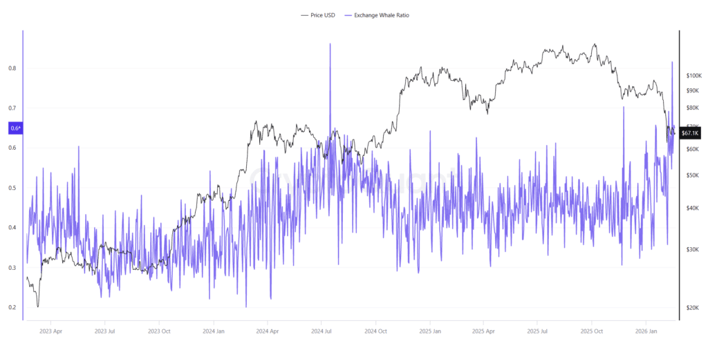 On-Chain Data