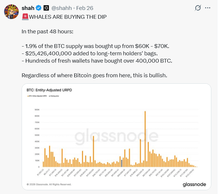 Bitcoin whale accumulation