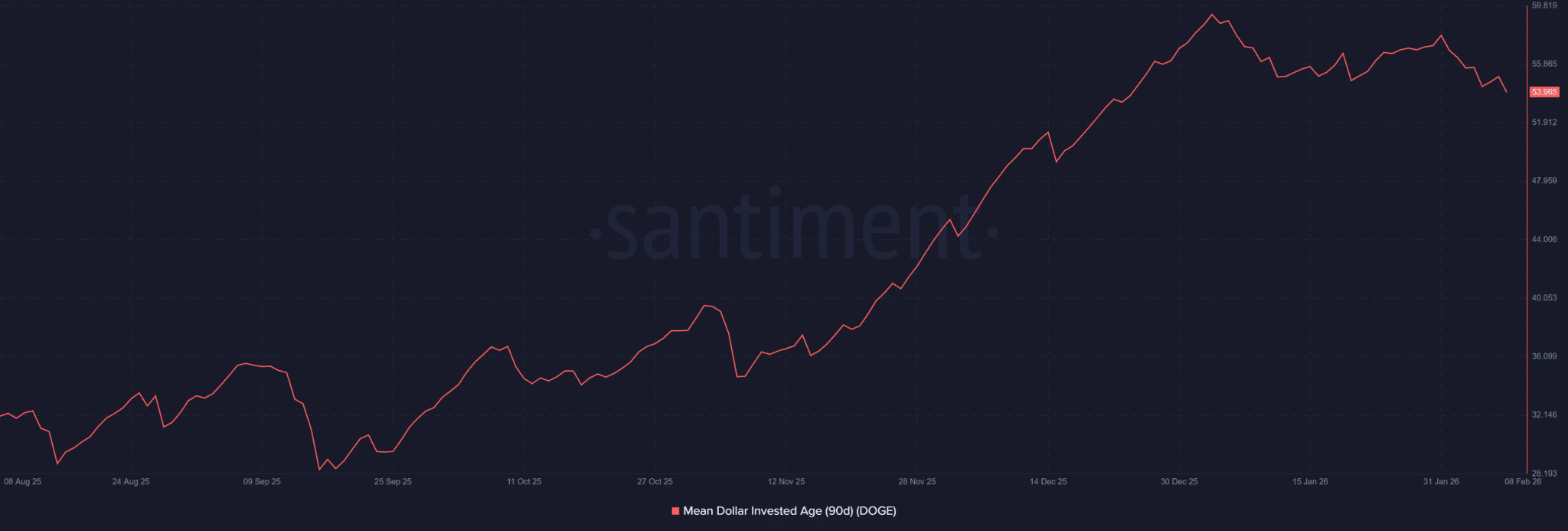 Rising Holder Base Supports Price Stability
