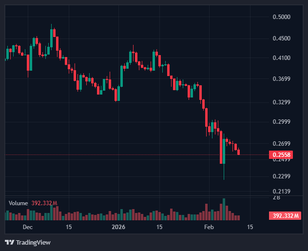CME Futures