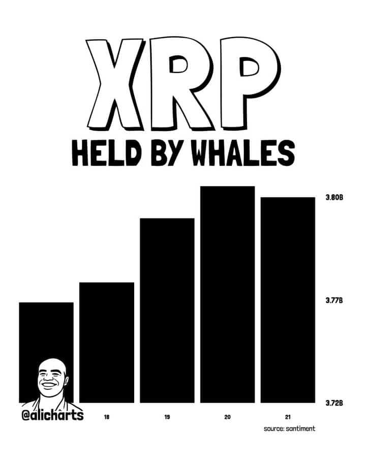 XRP Price Analysis: Can Bulls Break $1.4650 After Recent Pullback? 9 XRP Whales news