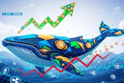 Top Crypto Whale Activity This Week: Is Smart Money Buying the Dip?