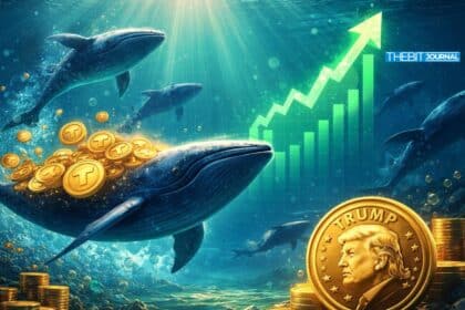 Aktivität der Top-Krypto-Whales zeigt Gewinnmitnahmewelle bei BTC, ETH, SOL
